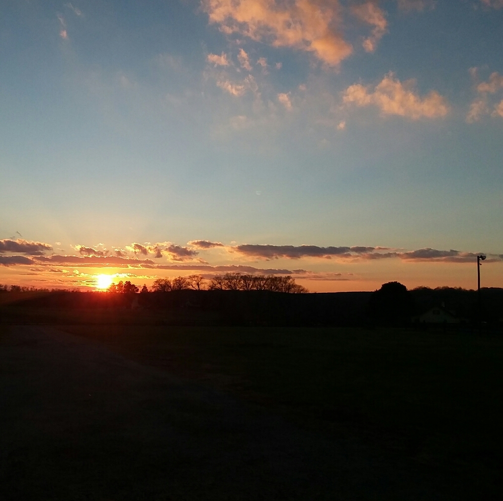 Meet your Posher, Crystal